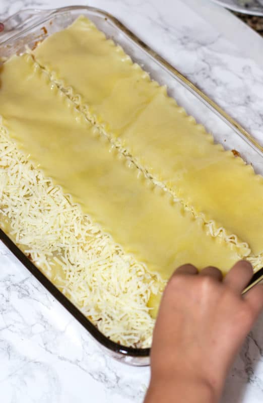 Cooked lasagna noodles layered on top of shredded mozzarella cheese in preparation for making lasagna.