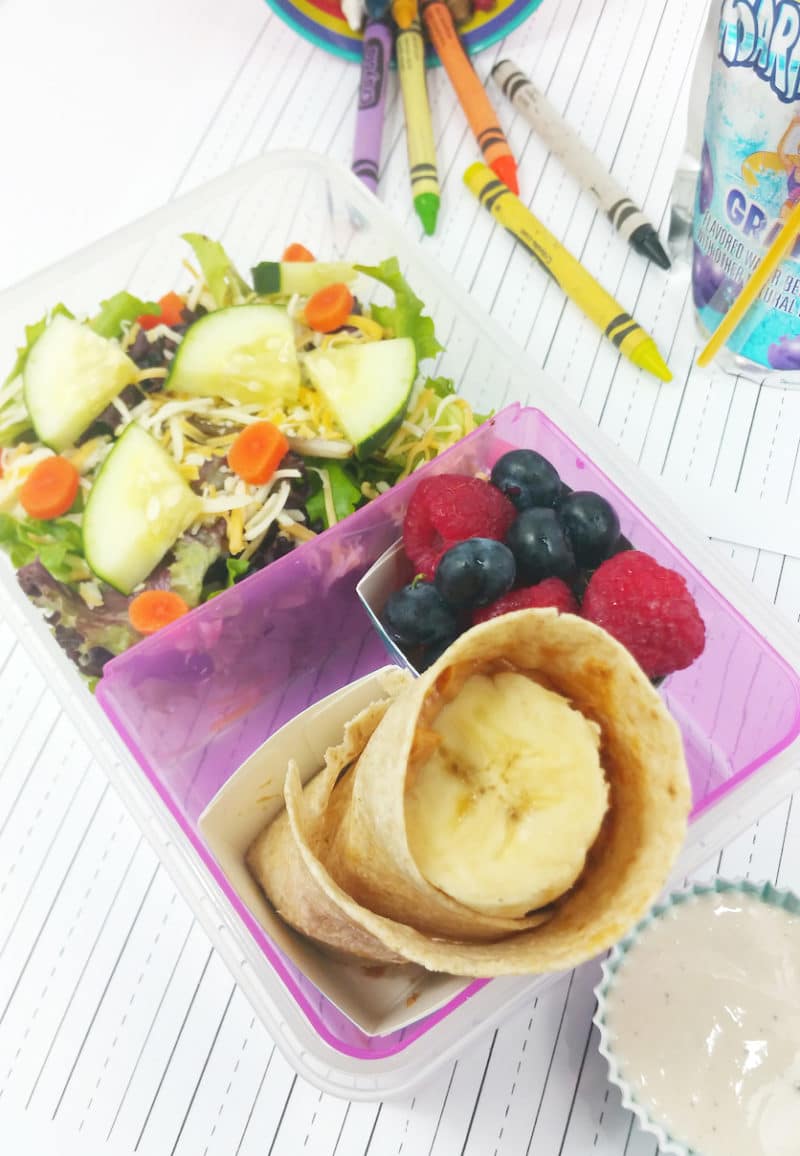 Beef Jerky Bento Snack Box or School Lunch Side 