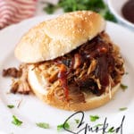 Pulled pork sandwich in a sesame seed bun on a white plate.