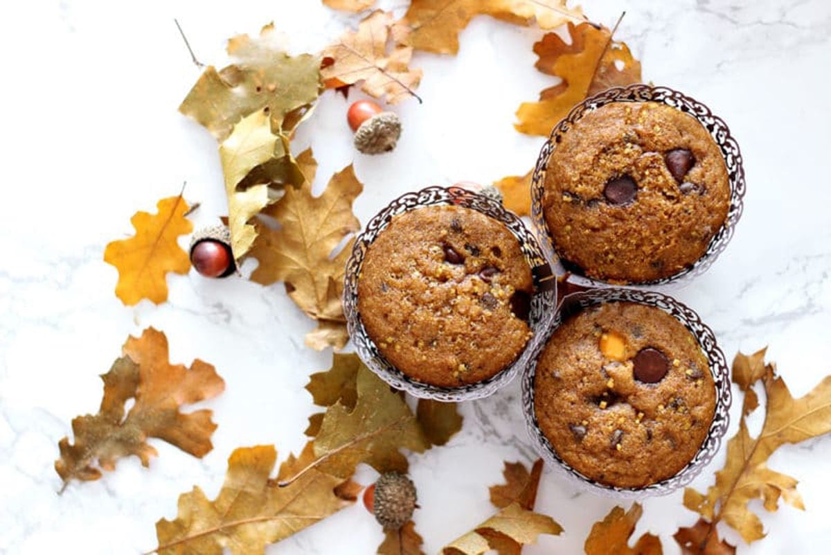 3 Pumpkin Chocolate Chip Muffins sitting on a white table with fall leaves and acorns.