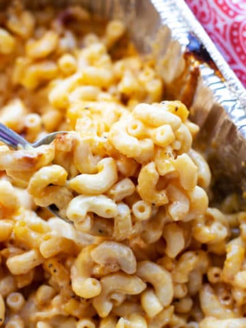 Spoonful of cooked Smoker Macaroni and Cheese