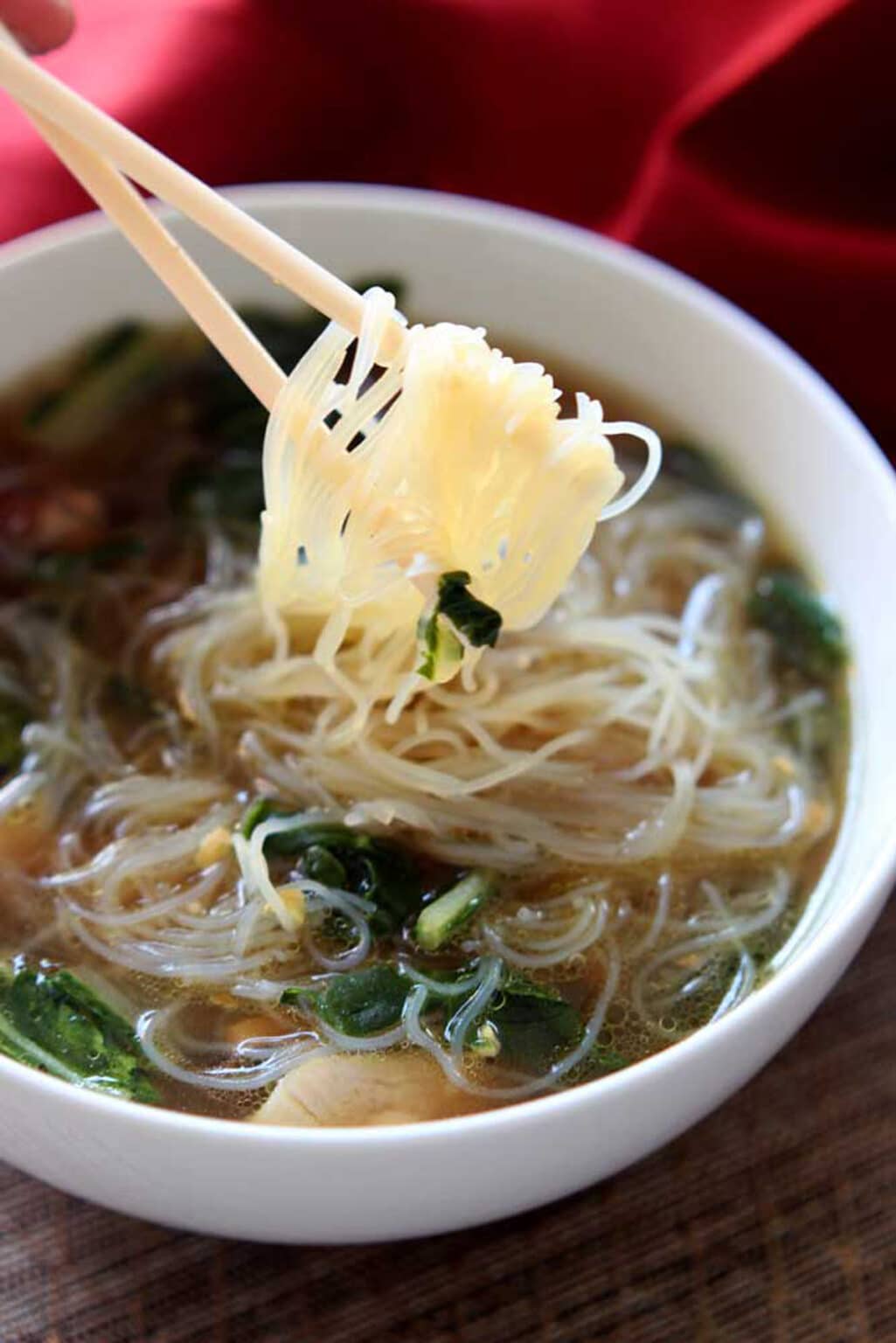 Asian Chicken Noodle Soup - Recipes Worth Repeating