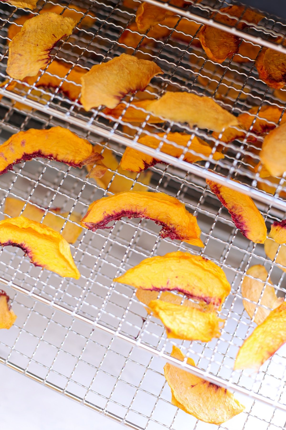 Sliced peaches in a dehydrator and racks. 