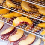 Fresh peach slices on dehydrator racks.