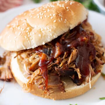 Close up view of pulled pork sandwich on a plate.