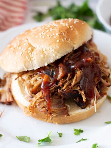 Close up view of pulled pork sandwich on a plate.
