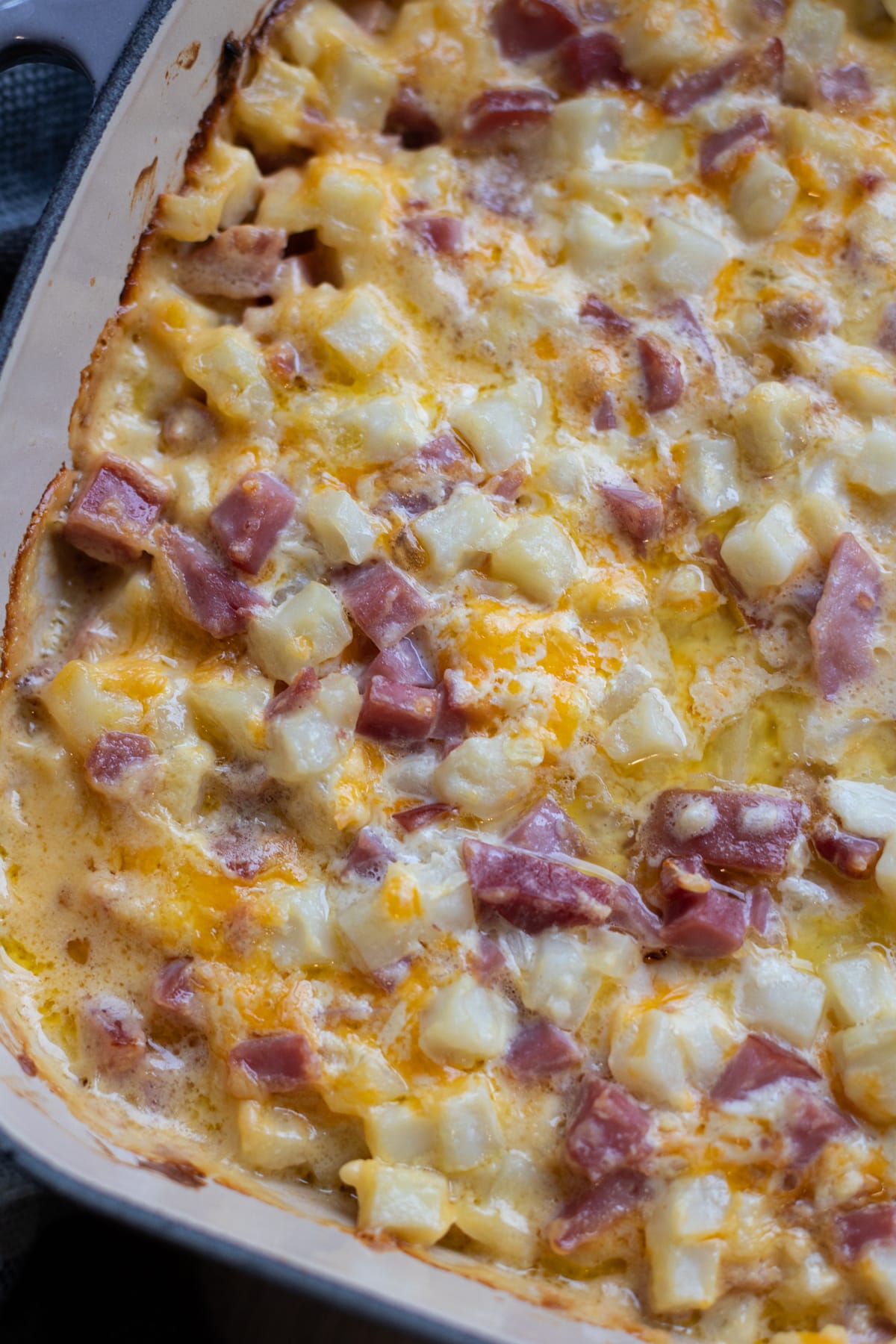 Close up of baked ham, cheese, and potato casserole. 