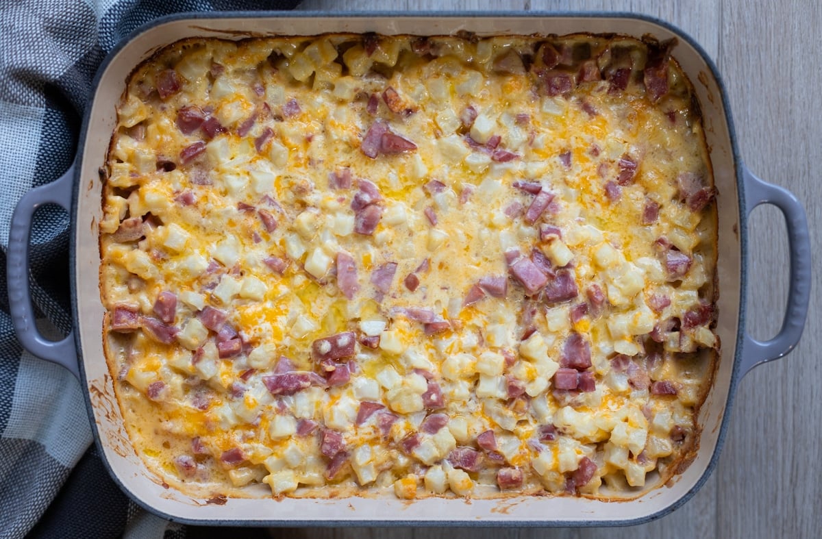 Baked casserole containing ham, potatoes, and cheese cooling on a counter. 