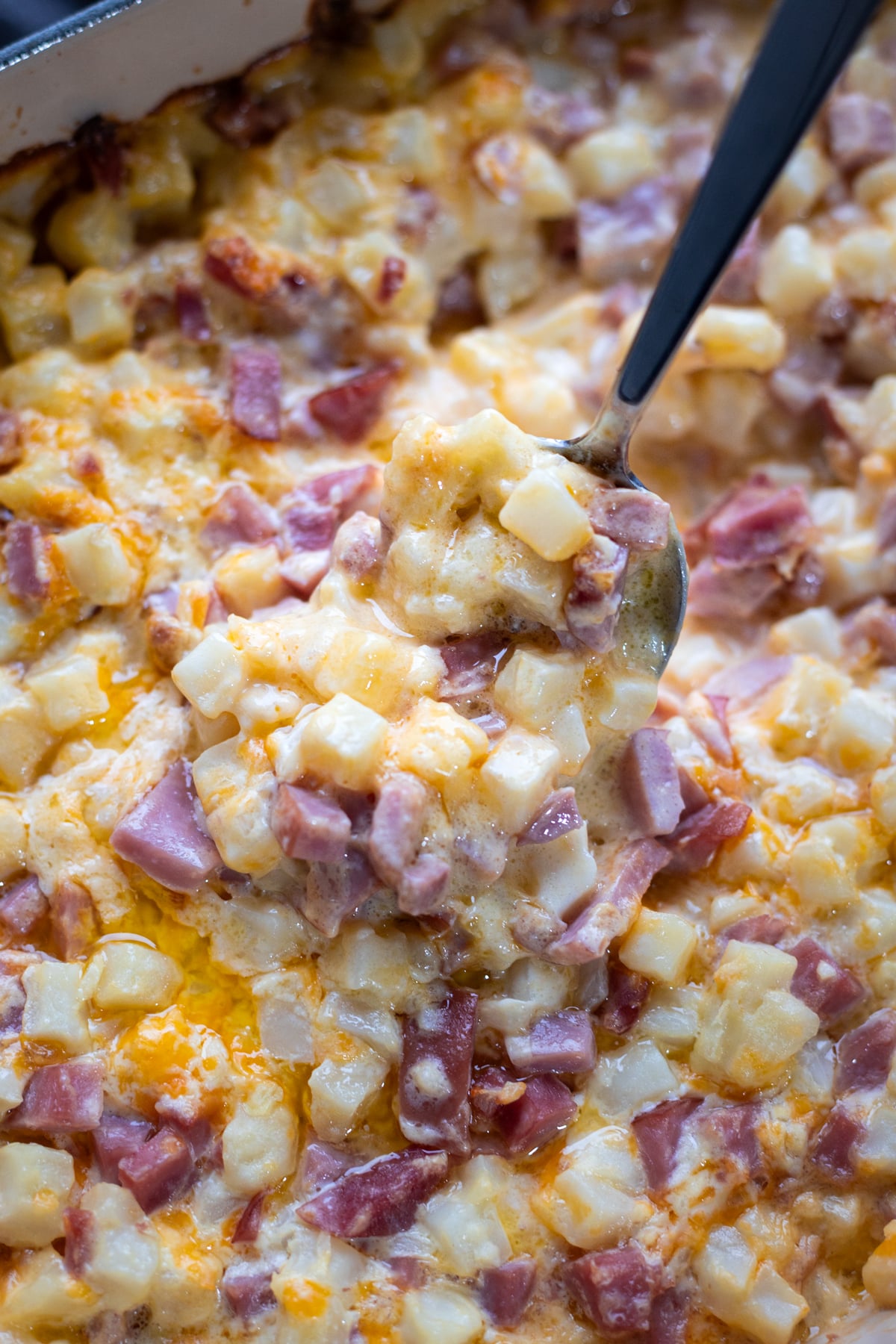 Close up of spoon in a casserole dish with cheese, ham, and potatoes. 