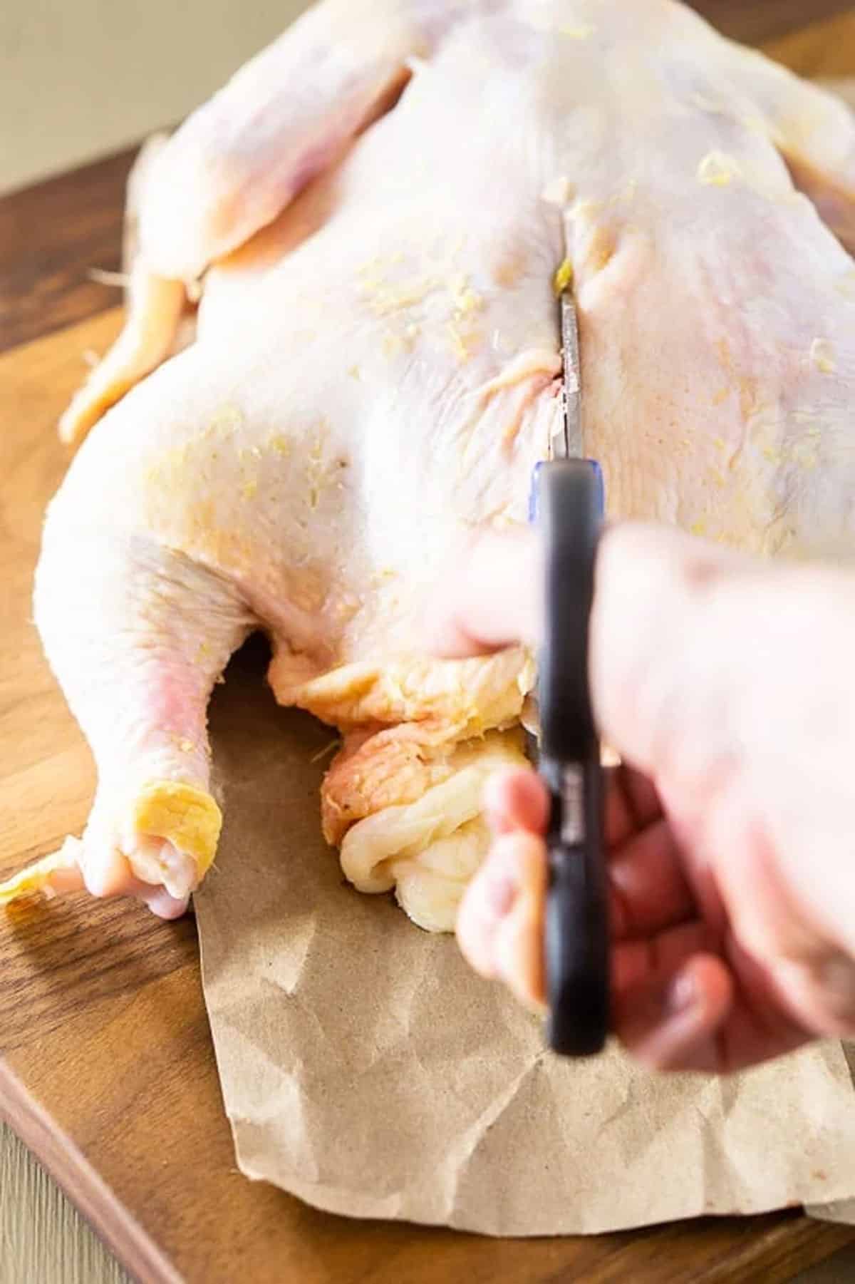 Person cutting spine of chicken for spatchcocking.