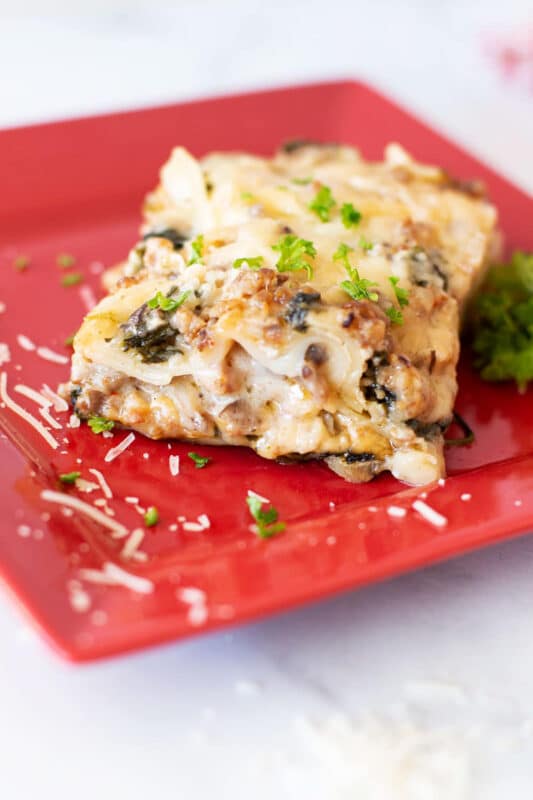 Close up of piece of lasagna made with white sauce.