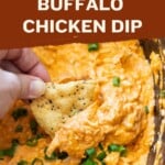 Chicken dip in a crock pot.